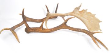 DEER ANTLERS / TAXIDERMY CONSISTING OF A PAIR PLUS 1 SINGLE