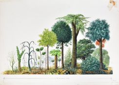 ORIGINAL MACMILLAN PUBLICATION ARTWORK - FOSSIL PLANTS WALLCHART