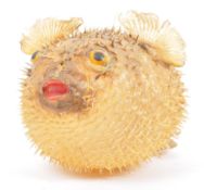 VINTAGE 20TH CENTURY TAXIDERMY PUFFER FISH