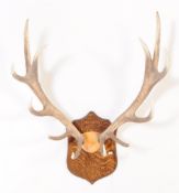 STAG ANTLER WOODEN WALL PLAQUE