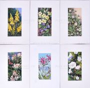 MARDON SON & HALL - CIGARETTE CARD ORIGINAL ARTWORK