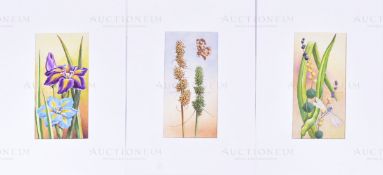 MARDON SON & HALL - CIGARETTE CARD ORIGINAL ARTWORK