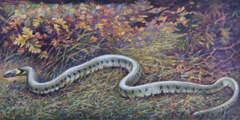 MARDON SON & HALL - CIGARETTE CARDS - ORIGINAL ARTWORK