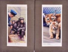 W.D. & H.O. WILLS - ZOO FRIENDS (1939) - ORIGINAL ARTWORK