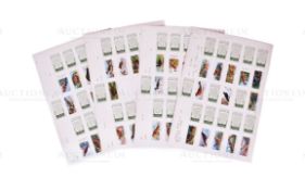 MARDON, SON & HALL - CIGARETTE CARDS - ORIGINAL PROOF CARDS