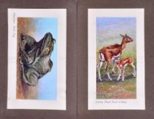 W.D. & H.O. WILLS - ZOO FRIENDS (1939) - ORIGINAL ARTWORK