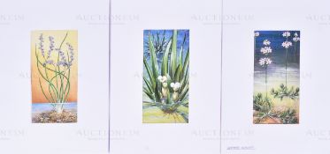 MARDON SON & HALL - CIGARETTE CARD ORIGINAL ARTWORK