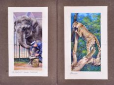 W.D. & H.O. WILLS - ZOO FRIENDS (1939) - ORIGINAL ARTWORK