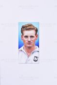 CIGARETTE / TRADE CARDS - ORIGINAL ARTWORK - TOM FINNEY