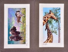 W.D. & H.O. WILLS - ZOO FRIENDS (1939) - ORIGINAL ARTWORK