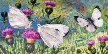 MARDON SON & HALL - CIGARETTE CARDS - ORIGINAL ARTWORK