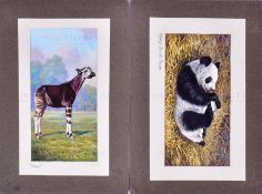 W.D. & H.O. WILLS - ZOO FRIENDS (1939) - ORIGINAL ARTWORK