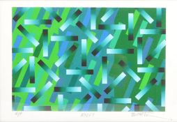 BRAD FAINE ENVY ARTIST PROOF PRINT