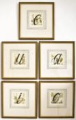 FIVE MID CENTURY ALPHABET CHILDRENS NURSERY PRINTS