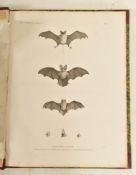 1813 DESCRIPTION DE L'EGYPTE 2ND ED ANATOMY ELEPHANT FOLIO