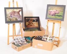 DOUG FIDLER - WILDLIFE PHOTOGRAPHY EXHIBITION & ALBUMS