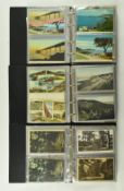 LOCAL SOMERSET INTEREST - APPROX. 300 BLACK & WHITE POSTCARDS
