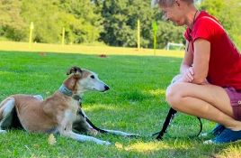 DOG TRAINING SESSION IN YOUR HOME - DOODLE DOGS