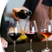 WINE TASTING SESSION IN YOUR HOME FOR UP TO 16 PEOPLE