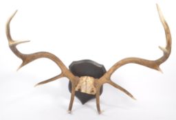20TH CENTURY STAG ANTLER WALL PLAQUE