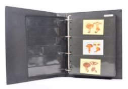 COLLECTION OF 20TH CENTURY MUSHROOM RELATED STAMPS