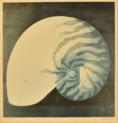 COMER JENNINGS - CHAMBERED NAUTILUS LITHOGRAPH