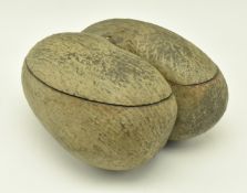 UNPOLISHED COCO DE MER NUT WITH CUT TOP