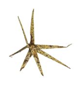 WWI FIRST WORLD WAR VERDUN FOUND CALTROP