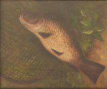 20TH CENTURY OIL ON CANVAS PAINTING OF A TENCH FISH
