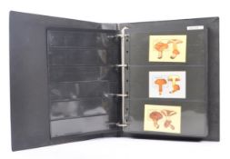 COLLECTION OF 20TH CENTURY MUSHROOM RELATED STAMPS