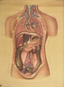 Online 20th Century Home & Interior Design Auction