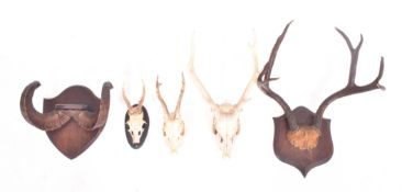 OF NATURAL HISTORY INTEREST - FIVE 19TH CENTURY ANTLERS