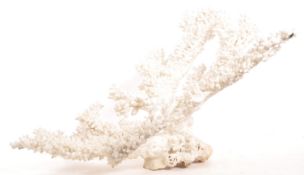 LARGE PIECE OF BLEACHED BRANCH CORAL