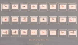 DANBURY MINT - THE ART OF THE TROUT FLY - FRAMED DISPLAY CASE