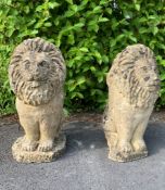 PAIR 20TH CENTURY STONE LION GARDEN ORNAMENTS