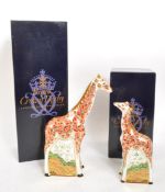 ROYAL CROWN DERBY - GOVIERS OF SIDMOUTH MASAI GIRAFFES