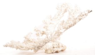 LARGE PIECE OF BLEACHED BRANCH CORAL