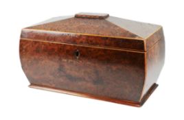 19TH CENTURY TWIN-SECTIONED TEA CADDY