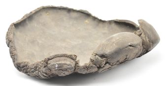 LARGE LATE 19TH CENTURY BELIEVED ELEPHANTS FOOT / SOLE