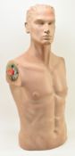 GEMINI - VINTAGE MALE MODEL TORSO MANNEQUIN