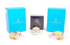 ROYAL CROWN DERBY - THREE FLORAL HEDGEHOG PAPERWEIGHTS