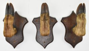 PRIVATE COLLECTION OF DERREN BROWN - THREE DEER'S HOOF COAT RACKS