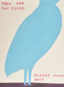 DAVID SHRIGLEY - YOU ARE TOO CLOSE PLEASE MOVE BACK