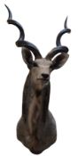 PRIVATE COLLECTION OF DERREN BROWN - LARGE KUDU HEAD