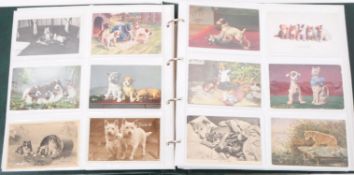 COLLECTION OF 20TH CENTURY DOG POSTCARDS