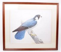 K RICHARDSON - LIMITED EDITION PRINT OF PEREGRINE FALCON