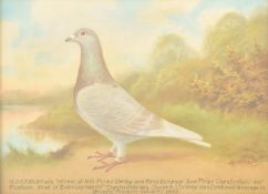 ANDREW BEER (1862-1954) - N. U. R. P. 39 BP 456 - OIL ON CANVAS PAINTING