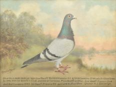 ANDREW BEER (1862-1954) - BLUE HEN - OIL ON CANVAS PAINTING