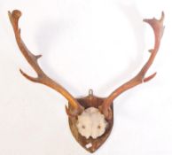 TAXIDERMY INTEREST - VINTAGE 20TH CENTURY TAXIDERMY STAG ANTLERS
