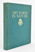 BLOSSFELDT, KARL. 1929 ART FORMS IN NATURE